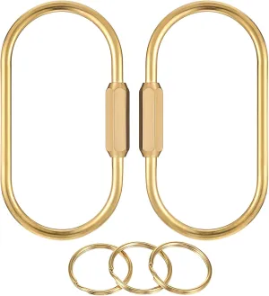 2Pcs Small Locking Carabiner Gold Brass Screw Lock Key Ring Brass Keychain Clip Screw Locking Key Chain for Women Men Oval Key Holder Organizer for Car Keys Handbag Purse