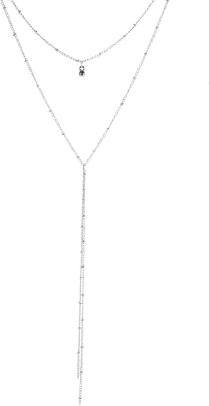 Double Layer Y Tassle Necklace