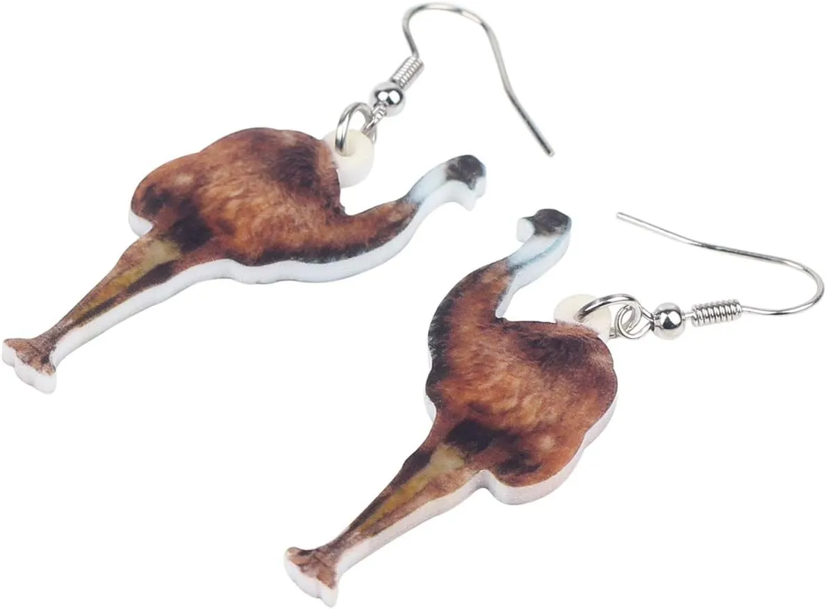 DUOWEI Acrylic Colorful Australian Emu Ostrich Bird Earrings Birds Dangle Drop Classic Jewelry Gifts for Women