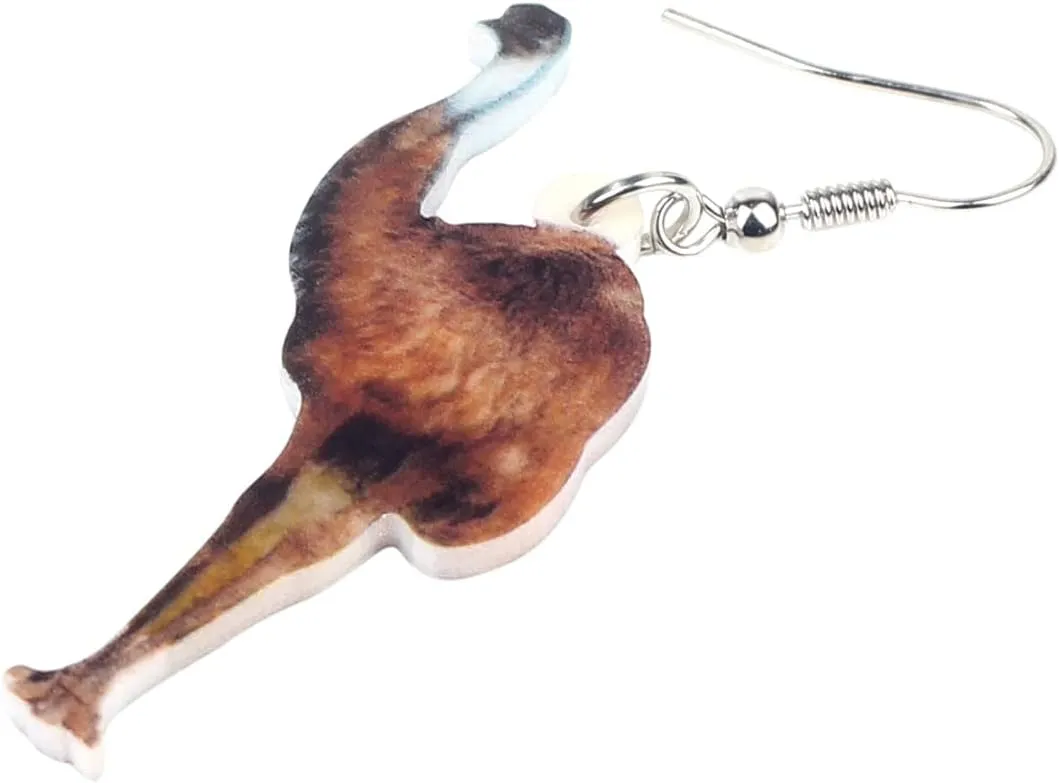 DUOWEI Acrylic Colorful Australian Emu Ostrich Bird Earrings Birds Dangle Drop Classic Jewelry Gifts for Women