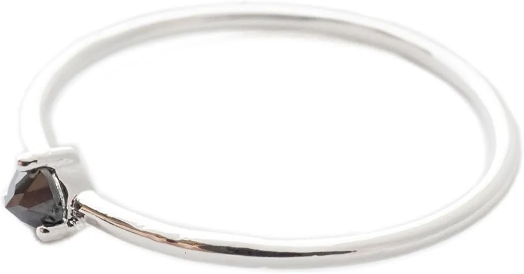 Honeycat Black Iron Ore Crystal Point Ring in Gold, Rose Gold, or Silver | Minimalist, Delicate Jewelry