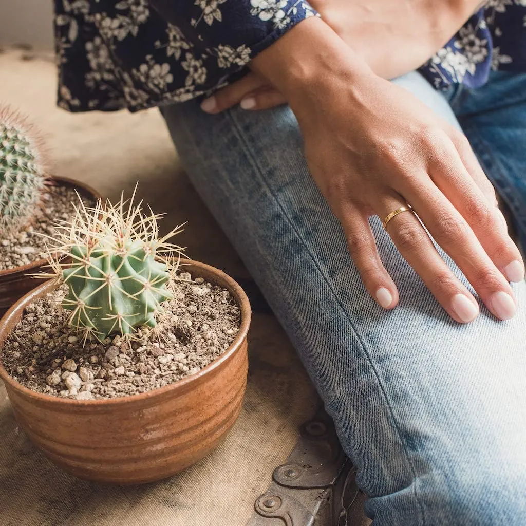 Honeycat Boyfriend Thick Band Ring in Gold, Rose Gold, or Silver | Minimalist, Delicate Jewelry