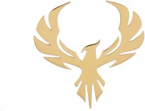 Stainless Steel Delicate Hollow Phoenix Lapel Pin For Men Phoenix Wings Tattoo Men Buckle Brooch